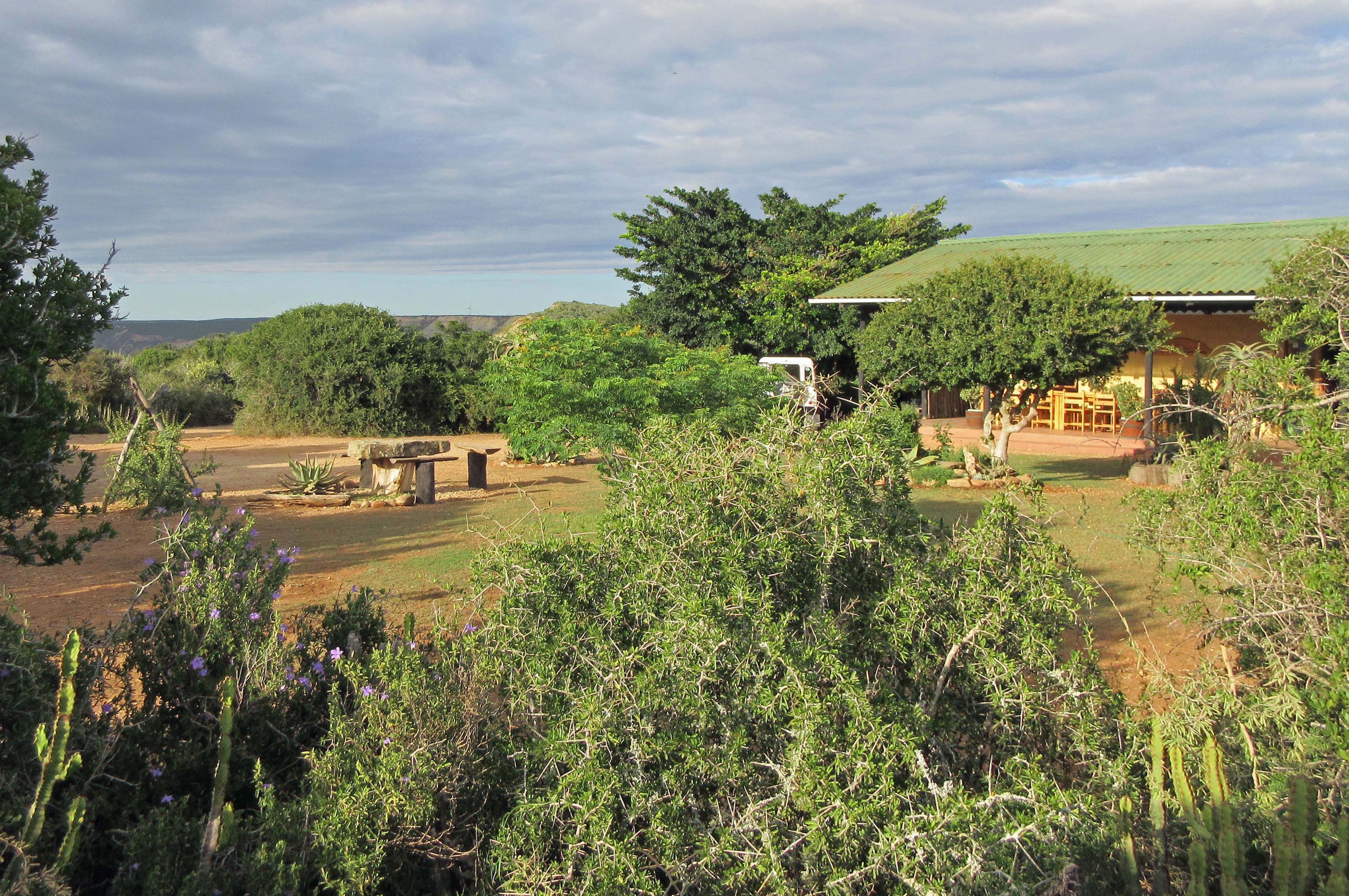 Familiäre Lodge am Addo Elefanten Park in Südafrika